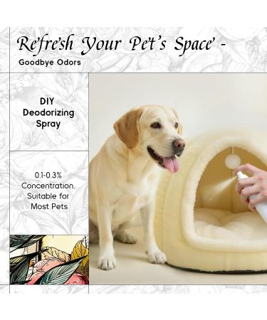 HIQILI 100ML Helichrysum Essential Oil & 150ML Fairy Tale Pixie Fragrance Oil for DIY Diffuser - Buy Online on GoSupps.com