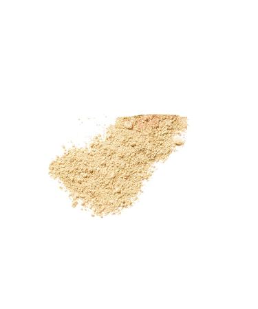 L'Oreal Paris True Match Mineral Loose Powder Foundation Light Ivory 0.35oz - Pack of 1 | Buy Online - Buy Online on GoSupps.com