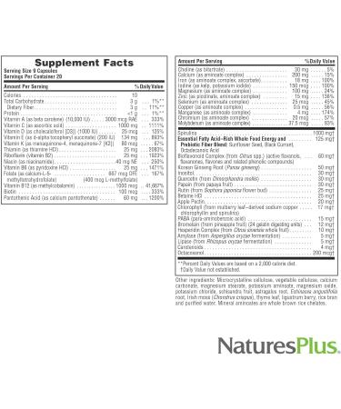 NaturesPlus Source of Life - 180 Capsules - Multivitamin & Mineral Supplement - Supports Natural Energy & Overall Well-Being - Gluten Free Vegetarian - 20 Servings - Buy Online on GoSupps.com