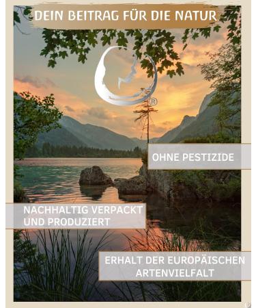 Organic Mountain Pine Oil Essential Oil (Pinus Mugo) - Wild Growth from Austria 10ml - Premium Aromatherapy for Relaxation & Wellness - Buy Online on GoSupps.com
