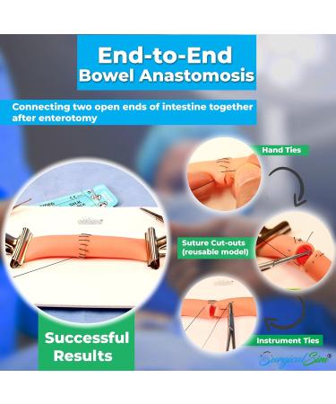 Bowel Anastomosis End to End Suture Practice Kit - 0.8 Diameter Model | Best International Shipping Available - Buy Online on GoSupps.com