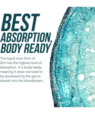 Ionic Liquid Zinc - 8 Month Supply | Adjustable Doses | Vegan Formula | Immunity, Brain & Thyroid Support | Best Absorption | 2 oz. Glass Bottle - Buy Online on GoSupps.com