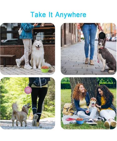 Buy Petbonus Foldable Dog Bowls - 2 Pack Silicone Water & Feed Bowls (Violet Pink) - Portable Leak-Proof Travel Bowl with Carabiners for Dogs - Buy Online on GoSupps.com