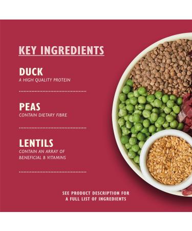 Lily's Kitchen Made with Natural Ingredients Adult Dry Dog Food Salmon & Venison Grain Free Recipe 12kg - Buy Online on GoSupps.com