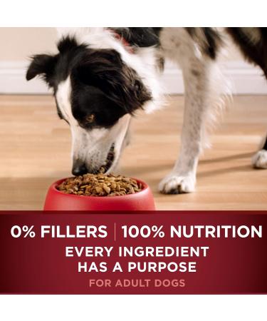 Purina ONE Smartblend True Instinct Natural Dry Dog Food + Wet Dog Food (Beef & Salmon) - Buy Online on GoSupps.com