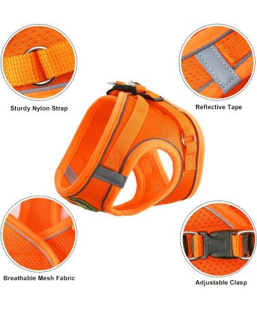 Zhenle Adjustable Reflective Cat Dishes Set with Leash - XS Orange Cat Collar & Bowl Bundle for International Shipping - Buy Online on GoSupps.com