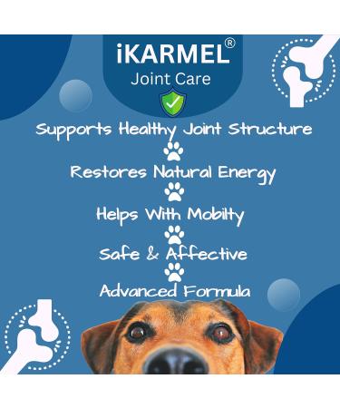 iKarmel Hip and Joint Care Supplements for Dogs - Glucosamine, Chondroitin, Green-Lipped Mussels - Senior to Puppy Treats for Stiff Joints (180 Chews) - Buy Online on GoSupps.com