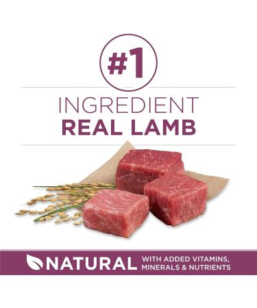 Purina ONE +Plus Dry Puppy Food with Lamb - 12 kg Bag 12 kg (Pack of 1) Dog Food - Buy Online on GoSupps.com