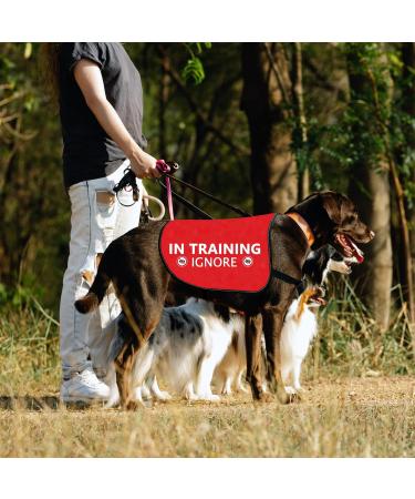 Buy Hollp Training Dog Jacket Vest - In Training Ignore Dog Walk Jacket | Large Size - Buy Online on GoSupps.com