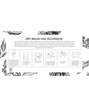 UMA Lymphatic Detox Dry Brush - Ayurvedic Tool for Detox Circulation & Radiant Skin - Buy Online on GoSupps.com