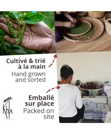 Khla - Organic Kampot Red Pepper - Peppercorns 100g - Traditional Palm Leaf Gift Box - Grand Cru Sweet & Fruity - Cooking Ingredient - Asian Spice - Cambodian Origin - Buy Online on GoSupps.com