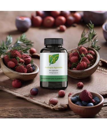 Fadogia Agrestis - 60 capsules - very concentrated - testosterone - Buy Online on GoSupps.com