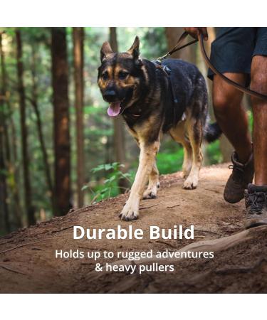 Buy Luffwear Front Range Dog Harness - Reflective Adjustable Padded for Comfort - Perfect for Walks & Dog Races - Available in River Rock Green XXS - Buy Online on GoSupps.com