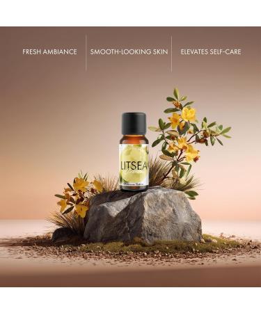 Organic May Chang Essential Oil | 100% Pure & Natural Litsea cubeba Fruit Oil with Fresh Bright Citrus Aroma | for Diffuser Candle Making & DIY Aromatherapy Blends 10ml May Chang 0.34 Fl Oz (Pack of 1) - Buy Online on GoSupps.com