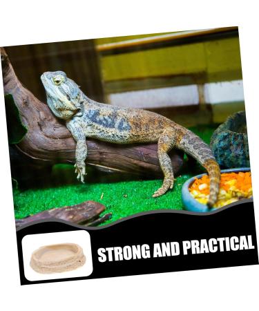 TOGEVAL Reptile Feeding Bowl Terrarium Water Bowl Terrarium Feeding Bowl Reptile Food Water Dish Bowl Resin - Buy Online on GoSupps.com