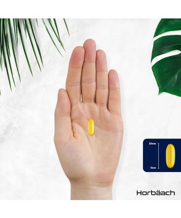 Omega 3 Fish Oil 3000mg | 240 Capsules | Omega 3 Fatty Acids with EPA and DHA | Fish Oil Supplement | Omega 3 Fish Oil Supplement | Horbaach - Buy Online on GoSupps.com