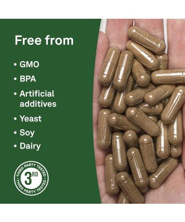 Organika Turkey Tail Mushroom- Organic 450mg 10:1 Extract- Immune Support- 90vcaps - Buy Online on GoSupps.com