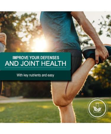 NATURAL FLASH Biotech USA - Whey Protein with Hydrolyzed Collagen Calcium Caseinate Glutamine Vitamins & Minerals | Supports Muscle Recovery and Joint Health | 21.2 oz (600 g) - Buy Online on GoSupps.com