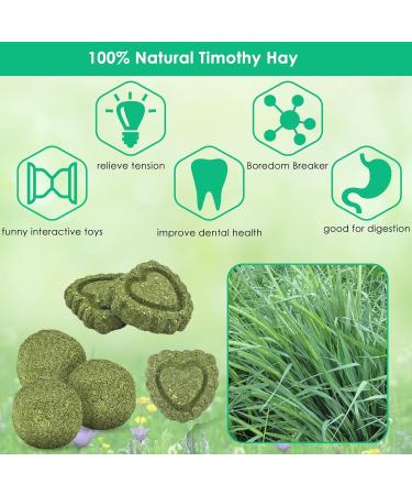 Erkoon Rabbit Chew Toys - 11-Piece Natural Apple Wood & Timothy Hay Set for Bunnies Chinchillas & Guinea Pigs - Dental Care & Fun! - Buy Online on GoSupps.com