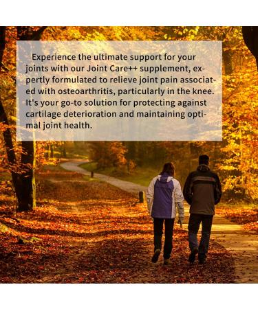 Vital Life Joint Care++ Extra Strength Joint Supplement - Antioxidant-Rich Joint Pain Relief Supplements with Turmeric for Osteo Joint Ease - 120 Vegan-Friendly Capsules - Buy Online on GoSupps.com