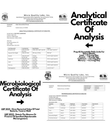 PRISTINE'S Berberine Supplement Capsules - 1000 MG 75 Day Supply 150 Capsules - Heart & Immunity Health Support Antioxidant - Digestive Tract & Healthy Gut Flora Support - Buy Online on GoSupps.com