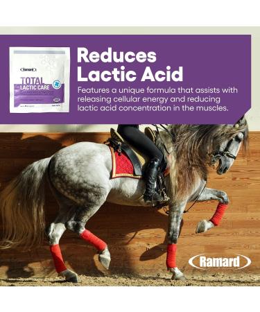 Ramard Total Lactic Care Muscle Function Support Supplement 25 Grams Single Serving - Buy Online on GoSupps.com