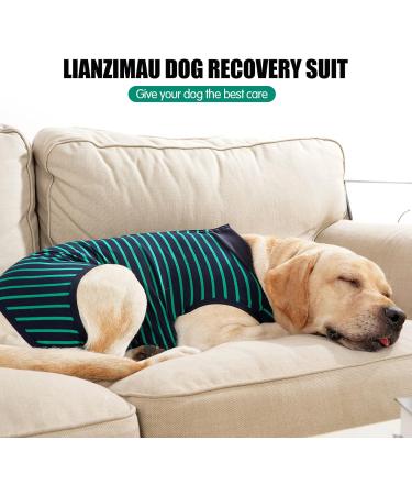 Shop Breathable Dog Dividers for Surgical Wounds | Anti-Losing Cone & E-Neck Band Alternative - Size S (1-Pack) - Streak Green - Buy Online on GoSupps.com