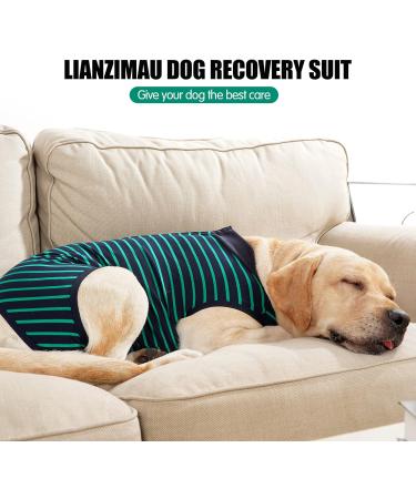 Shop Lianzimau Post-Op Dog Body Suit - Protective Surgical Shirt for Male Dogs - XXXL Green (1 Pack) - Ideal After Castration & Surgery - Buy Online on GoSupps.com