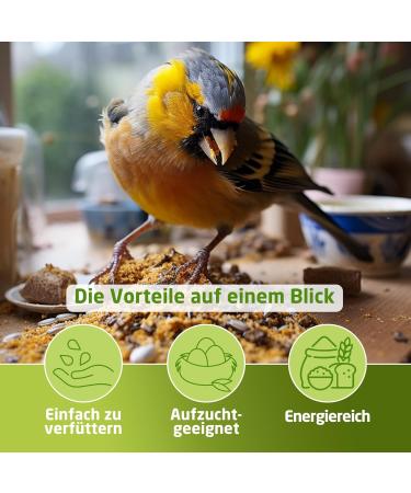 Eggersmann volaris 10kg Dried Mealworms | High in Protein & Natural | Ideal for All Types of Birds | Wild Bird Food All Year - Buy Online on GoSupps.com
