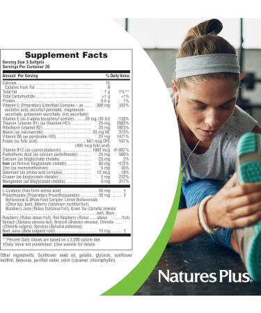 NaturesPlus Hema-Plex Iron - 60 Fast-Acting Softgels - 2 Pack - 85 mg Iron + Vitamin C & Bioflavonoids for Healthy Red Blood Cells - Vegan Gluten Free - 40 Total Servings 60 Count (Pack of 2) - Buy Online on GoSupps.com