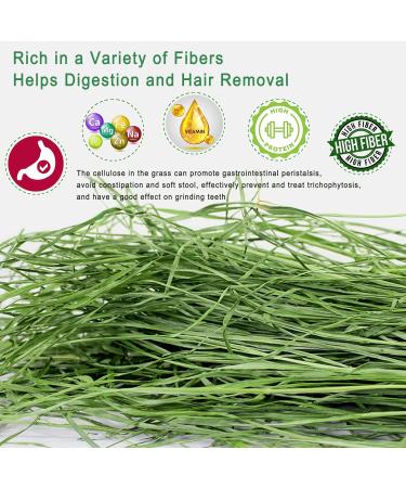 OHCOOL Timothy Hay 1000g - Premium Hay for Rabbits Tortoise Guinea Pig Chinchilla - Dust Free Natural Fresh Hay (500g 2 Packs) Timothy Hay 1000g 1 kg (Pack of 1) - Buy Online on GoSupps.com