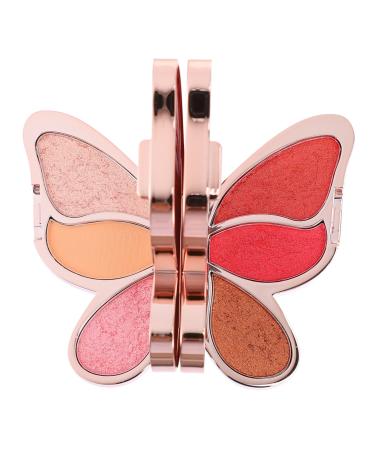 Beavorty 2 Pcs Eyeshadow Palette Creamy Eyeshadow Blushers for Face Cosmetic Supplies Plate Woman Flash 1 count (Pack of 1) As Shown 2x2pcs