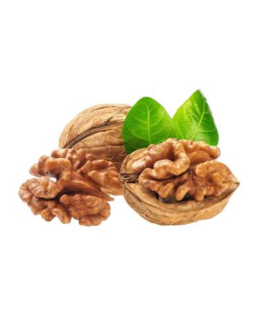 New Harvest 2022: 25kg Raw & Unprocessed Walnuts in Bowl for Squirrels - 100% Vegan & Natural - Buy Online on GoSupps.com
