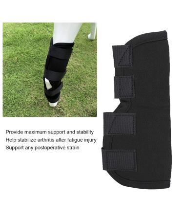 Stability Support Dog Leg Support Neoprene Pet Knee Guard Stabilize Arthritis for Dog Leg Guard(Black L) - Buy Online on GoSupps.com