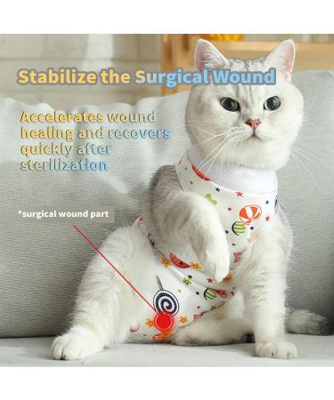 CLLRYBO Katzenbody: After Surgery Surgical Recovery Suit for Cats - Lion Style (Size L) | Comfortable & Durable Pet Medical Shirt - Buy Online on GoSupps.com