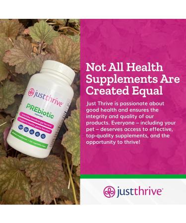 Just Thrive PREbiotic Capsules - Prebiotic Blend for Gut Health and Immune Support 120 Caps - Buy Online on GoSupps.com