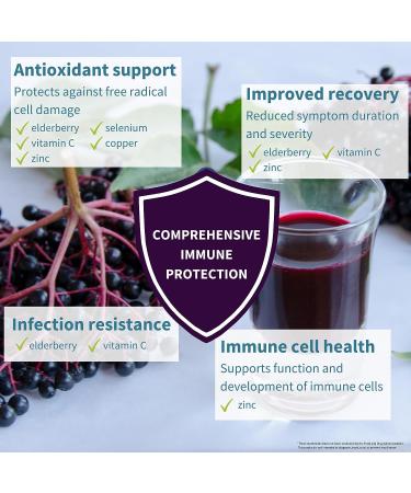 Immune Support Syrup: Elderberry 1000mg, Liposomal Vitamin C, Zinc, Copper & Selenium | Sugar-Free, Berry Flavor | Igennus - Buy Online on GoSupps.com