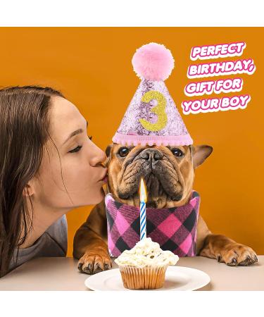 Cobee Dog Birthday Bandana Set | Dog Birthday Hat & Tie | Pink Dog Accessories for Puppy & Cat Party - Buy Online on GoSupps.com