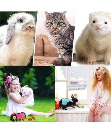 Adjustable Rabbit Dishes & Leash Set for Small Animals 2 Pieces in Blue & Pink | Perfect for Rabbits Hares Hamsters & Cats | Outdoor Use - Buy Online on GoSupps.com