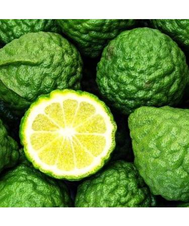 Pranarom Bergamot Essential Oil (5 ml) - Pure Aromatherapy Wellness - Buy Online on GoSupps.com