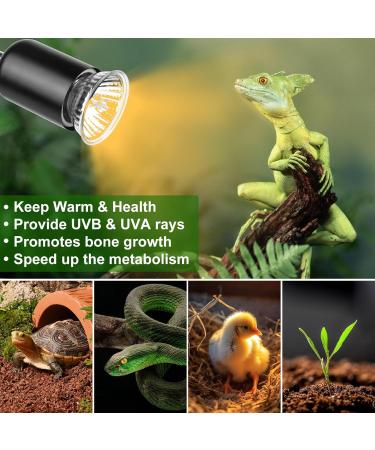 Premium Wine Turtle Heat Lamp with UVA UVB Basking Spot Bulb 360 Swivel Clamp for Reptiles | Ideal for Turtles Snakes & Lizards - International Shipping Available! - Buy Online on GoSupps.com