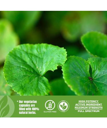 Herbsforever Gotu Kola (Centella Asiatica)-Extra Strength(10:1) Extract Equiv. to 4300 mg Leaves & Plant Powder Per Serving Support Cognitive Memory Focus Calm Skin |60Veg Capsules|800mg|Adaptogen - Buy Online on GoSupps.com