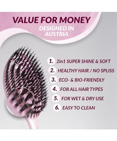 Marqus Wild Boar Bristle Hairbrush - All Hair Types | DESTRIATHER for Effortless Shine & Tangle-Free Styling - Buy Online on GoSupps.com