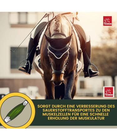 Amino Acids for Horse Bodybuilding - for Effective Trainings - Performance Amino Acid Pate Vitamin E Strengthening Recovery Musculature Regeneration Energy for Muscles Horses 30 ml - Buy Online on GoSupps.com