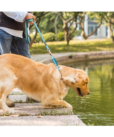 Dazzber Martingale Dog Collar for Medium & Large Dogs - No Pulling Durable Nylon Adjustable 43.2-63.3 cm Turquoise Green 1 Inch Wide - Buy Online on GoSupps.com