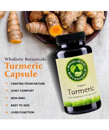Wholistic Botanicals Turmeric Capsules - Turmeric Curcumin Supplement - Liver Cleanse Supplement - 100ct - Buy Online on GoSupps.com
