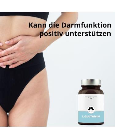 Buy Pure L-Glutamine 500g Powder - 99.9% Purity Vegan & Additive-Free | Vitamin Fox - Buy Online on GoSupps.com