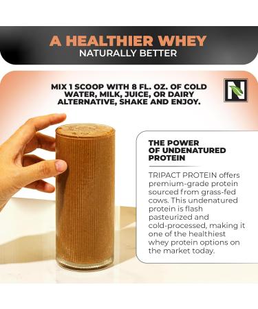 Nutrology Beet Natural O2 Pre Workout Powder Passion Fruit Flavor (30 Servings) TRIPACT Protein Powder 7-in-1 Meal Replacement Shake Creamy Chocolate Flavor (20 Servings) - Buy Online on GoSupps.com