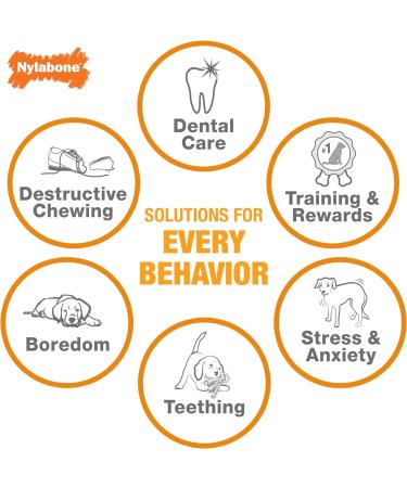 Nylabone Rawhide Alternative Knotted Bone - Beef Flavor for Large Dogs (up to 23 kg) | International Shipping Available - Buy Online on GoSupps.com