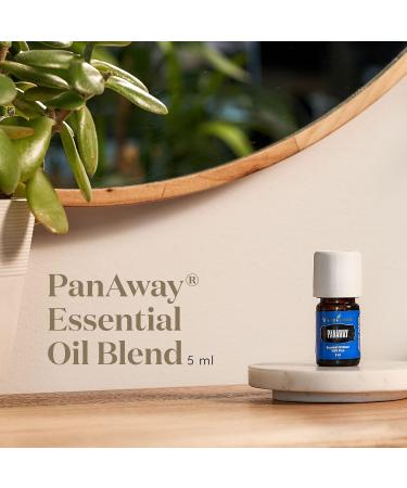 Young Living PanAway Essential Oil 5ml - Soothing Aroma for Relaxation & Massage | Travel Size Aromatherapy Blend of Clove Wintergreen Peppermint & Helichrysum - Buy Online on GoSupps.com